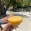 ginasarai19